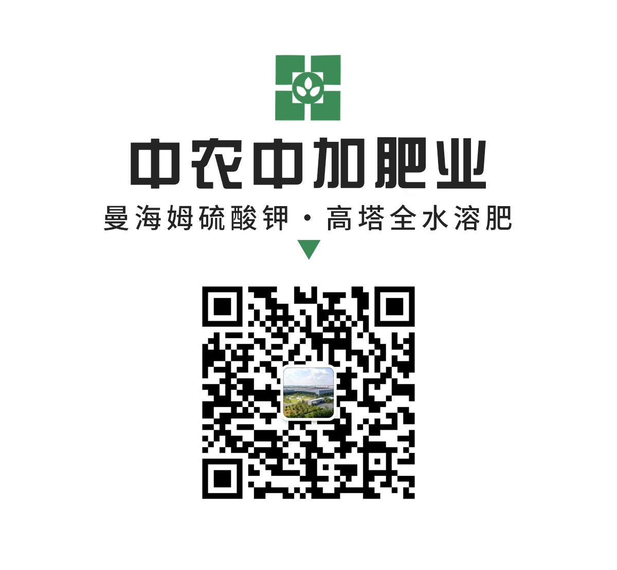 141039855.jpg 141039855.jpg