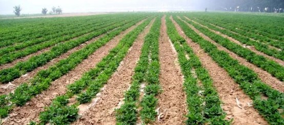 085942136.jpg 085942136.jpg