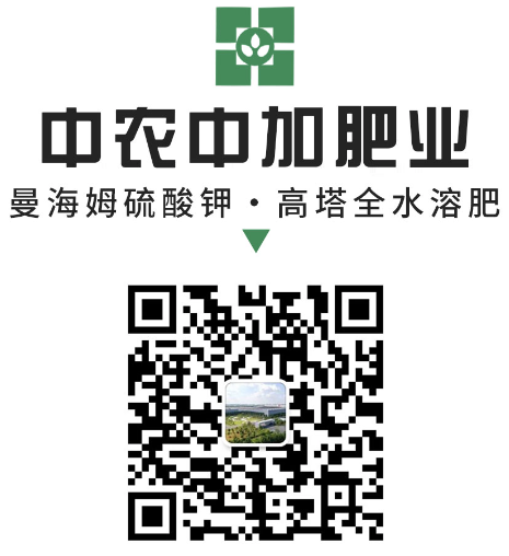 411da34555bfb0ba288bce60b55273f.png 411da34555bfb0ba288bce60b55273f.png